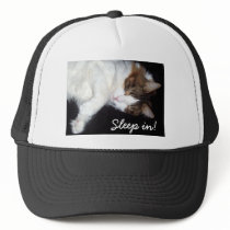 Sleepy kitty hat