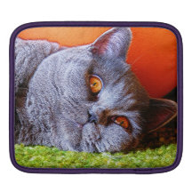 Sleepy Kitty iPad Sleeve