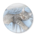 Sleepy Kitty magnets by liz5384 Sleepy Kitty magnets