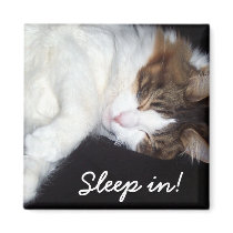 Sleepy kitty magnet by dollargrafix Sleepy kitty magnet