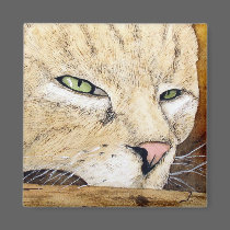 Sleepy Kitty Magnet