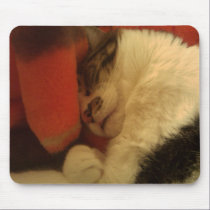 Sleepy Kitty Mouse Pads