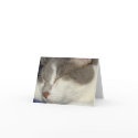 'Sleepy Kitty' NoteCard by dawnlopez331 'Sleepy Kitty' NoteCard
