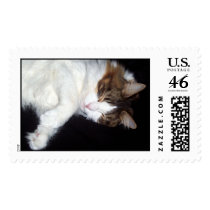 Sleepy Kitty postage by dollargrafix Sleepy Kitty postage