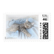 Sleepy Kitty postage by liz5384 Sleepy Kitty postage