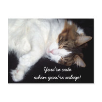 Sleepy kitty postcard by dollargrafix Sleepy kitty postcard