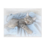 Sleepy Kitty Post Card