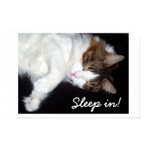 Sleepy Kitty Poster posters by dollargrafix Sleepy Kitty Poster posters
