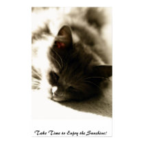 Sleepy Kitty posters