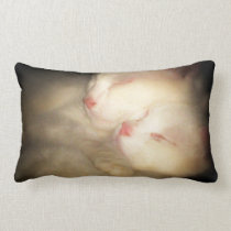 Sleepy Kittys Pillow pillows