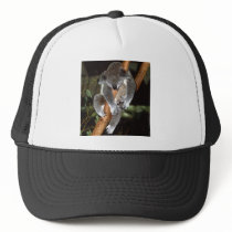 Sleepy Koala Trucker Hat