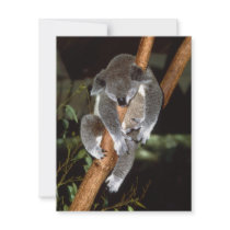 Sleepy Koala Personalized Invites