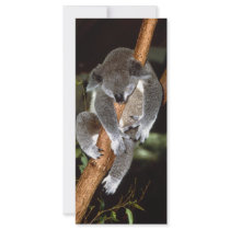 Sleepy Koala Personalized Rack Card