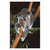 Sleepy Koala Personalized Stationery