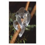 Sleepy Koala Personalized Stationery
