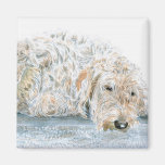 Sleepy Labradoodle Magnet