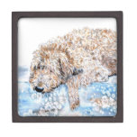 Sleepy Labradoodle Premium Keepsake Boxes