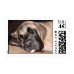 Sleepy Mastiff stamps