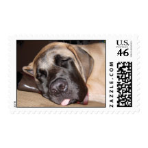 Sleepy Mastiff Postage Stamps
