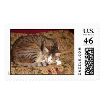 Sleepy Miss Kitty Cat She now has a second chanc postage by pier0045 Sleepy Miss Kitty Cat She now has a second chanc postage