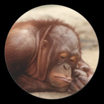 Sleepy Monkey sticker