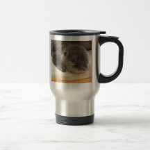 Sleepy Otter Mugs