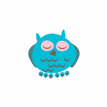 Sleepy Owl