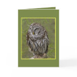 Sleepy Owl Greeting Card