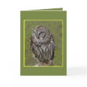 Sleepy Owl Greeting Card