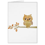 Sleepy Owl in Tree Greeting Cards