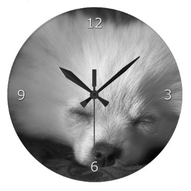 Sleepy Pomeranian Puppy Wall Clocks