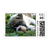 Sleepy Postage Stamps stamps