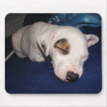 Sleepy Puppy Mouse Mats
