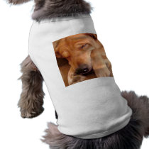 Sleepy Puppy Pet Shirt pet clothing