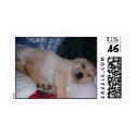 Sleepy Puppy postage by doctoranicole Sleepy Puppy postage