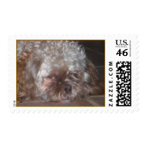 Sleepy Puppy Postage Stamp