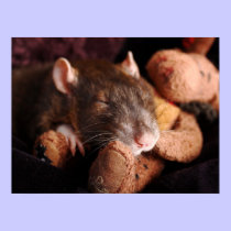 Sleepy Rat posters