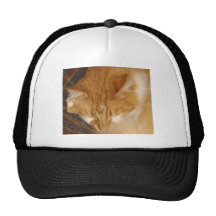 Sleepy Red Cat is finally REALLY sleeping Hat