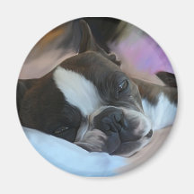 Sleepy Refrigerator Magnets