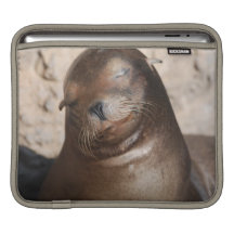 Sleepy Sea Lion iPad Sleeve