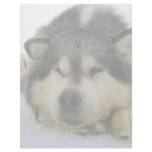 Sleepy sled dog letterhead template