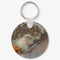 Sleepy Standard keychains