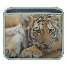 Sleepy Tiger Cubs Rickshaw Sleeve iPad Sleeve