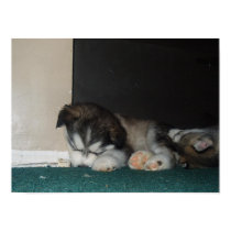 sleepy time posters by ladypeace sleepy time posters