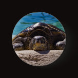 Sleepy Turtle Pin
