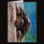 Sleepy Turtle Greeting Cards