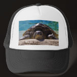 Sleepy Turtle Trucker Hat