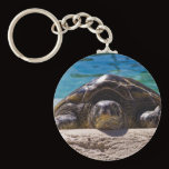 Sleepy Turtle Key Chains