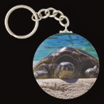 Sleepy Turtle Key Chains