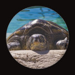 Sleepy Turtle Magnet